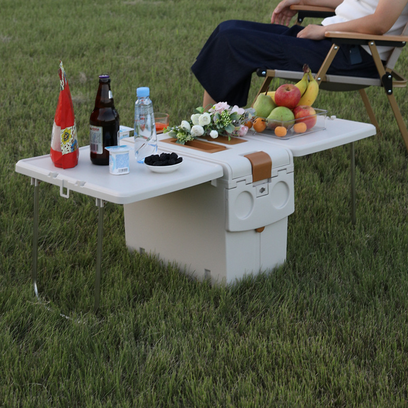 2-in-1 Folding Camping Table C - Food Storage Not Plastic recension och pris