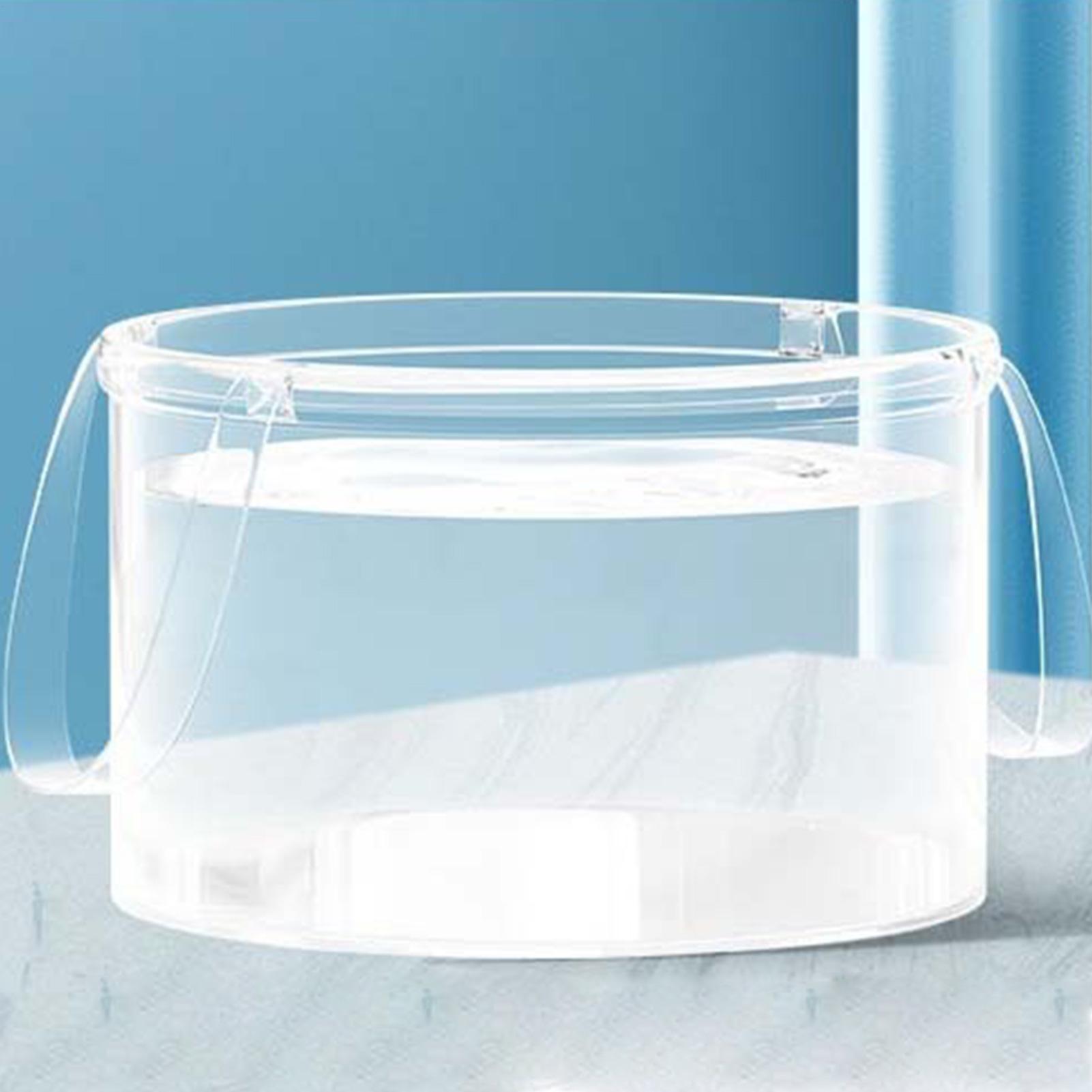 Clear Fruit Basket Food Storag - Food Storage Not Plastic recension och pris