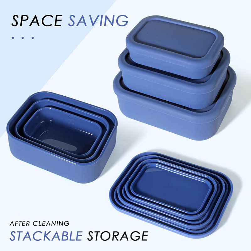Leak-Resistant Bento Lunch Box - Food Storage Containers B&M recension och pris