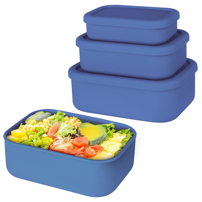 Leak-Resistant Bento Lunch Box - Food Storage Containers B&M recension och pris