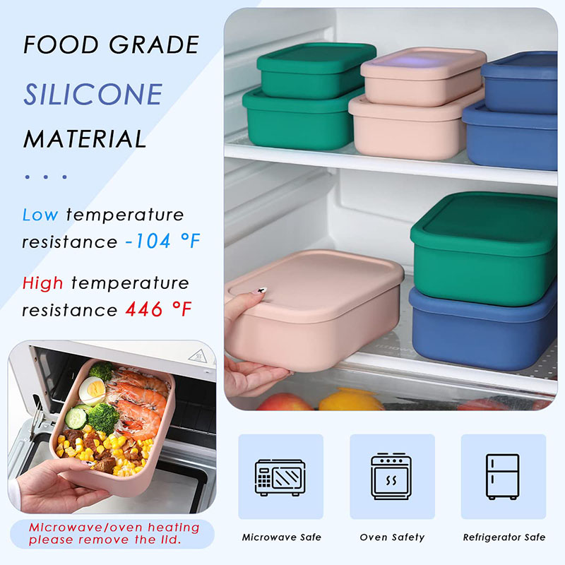 Leak-Resistant Bento Lunch Box - Food Storage Containers B&M recension och pris