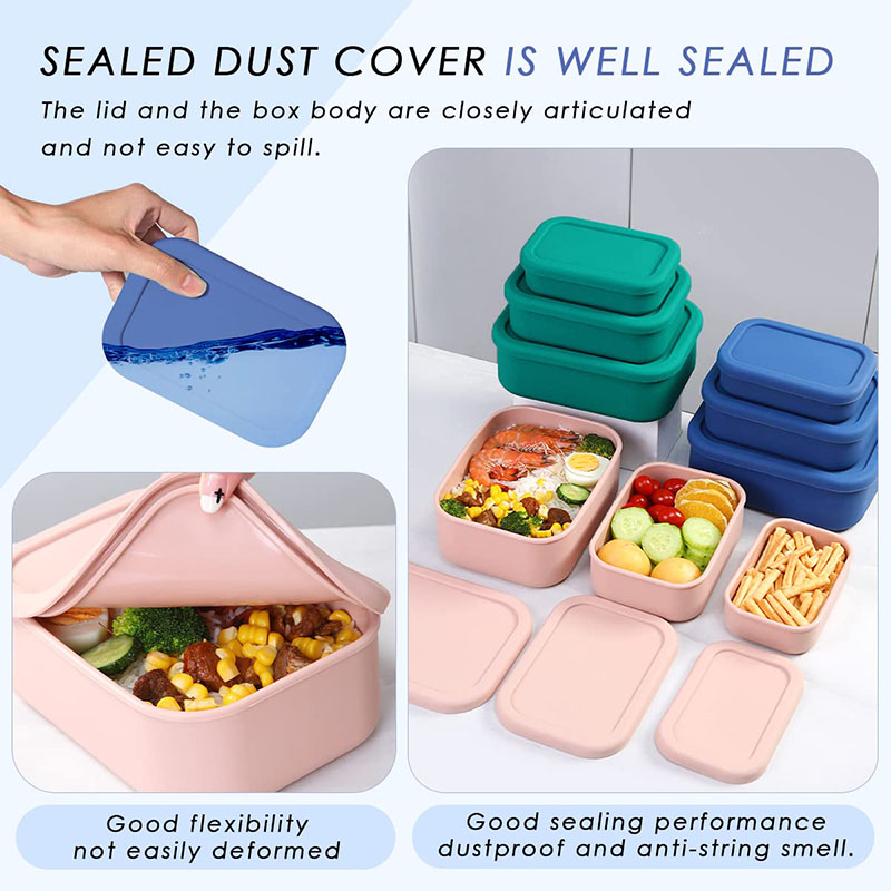 Leak-Resistant Bento Lunch Box - Food Storage Containers B&M recension och pris